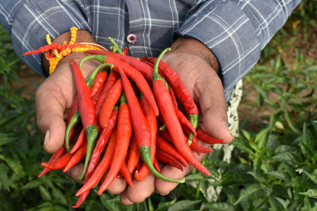 10 Best Foods That Speed Up Metabolism Naturally pexels bharath n 2155960309 33973273