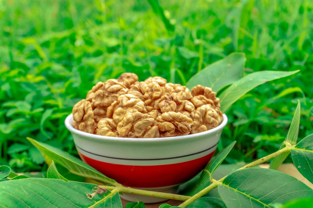 brain power foods.jpg